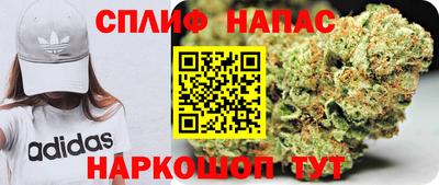 сатива Малгобек