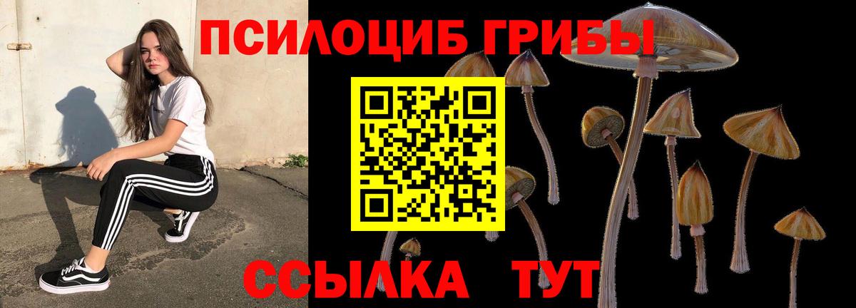 Владимир  Галлюциногенные грибы мицелий  Вход с VPN 