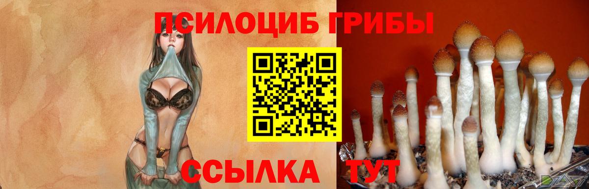 Галлюциногенные грибы ЛСД Владимир